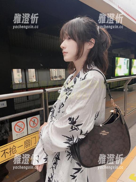 Zyra秋 Zyra秋的图库大揭秘:穿上路易九世旗袍后的奇妙变化!
