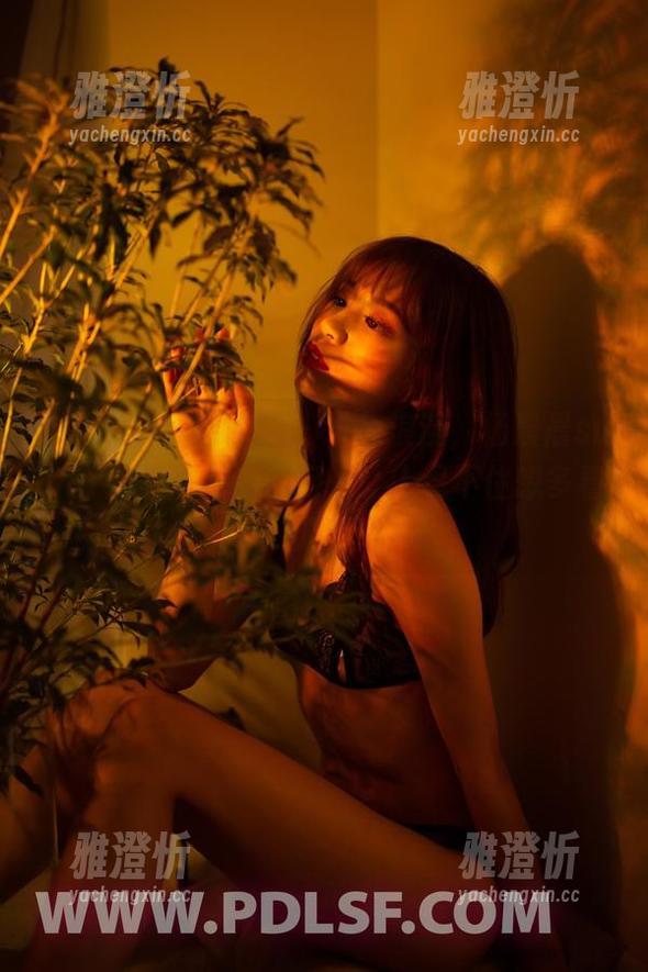 partycat轰趴猫-杨晨晨sugar partycat轰趴猫 - 粉色浪漫,杨晨晨sugar的美图如梦似幻,让人忍不住想多看几眼