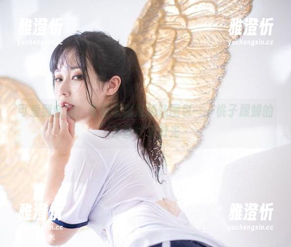 奇行家狗崽 可爱到窒息,奇行家狗崽精选图包——桃子跟蝉的那些快乐时光